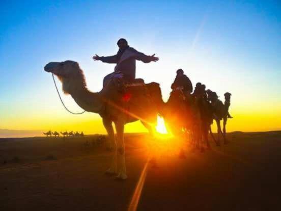 Riad Hanafi มาร์ราเกช ภายนอก รูปภาพ